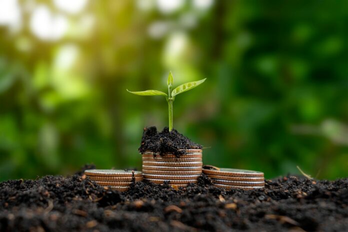 petit-investissement-une Faire un petit investissement qui rapporte