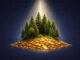 investir en foret guide